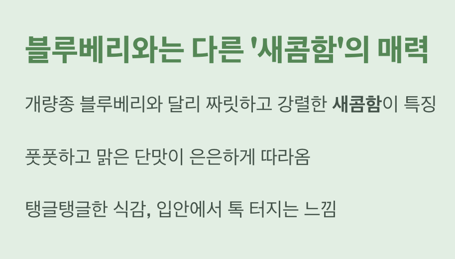 블루베리와는 다른 '새콤함'의 매력