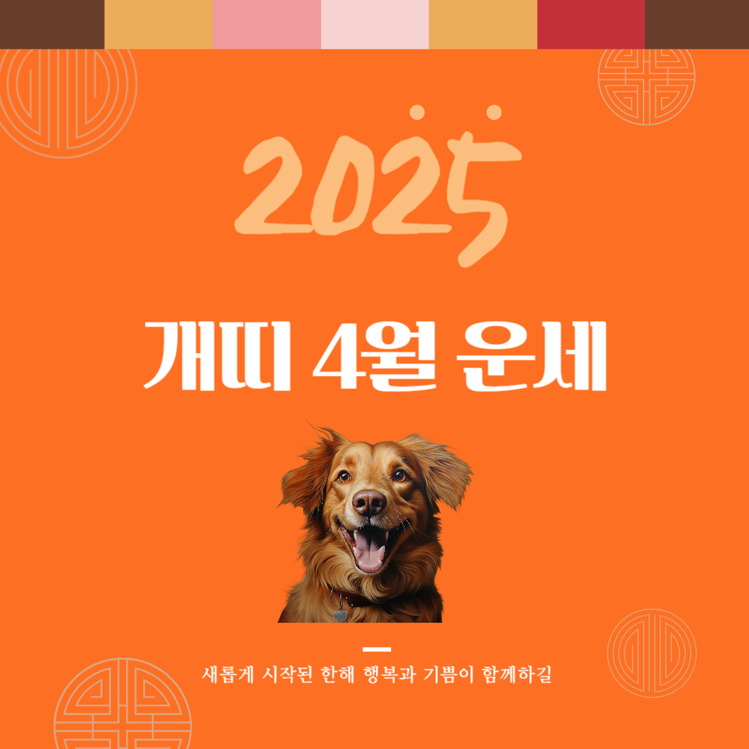 2025년 을사년 『개띠』 4월 운세
