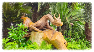 클라우드 포레스트