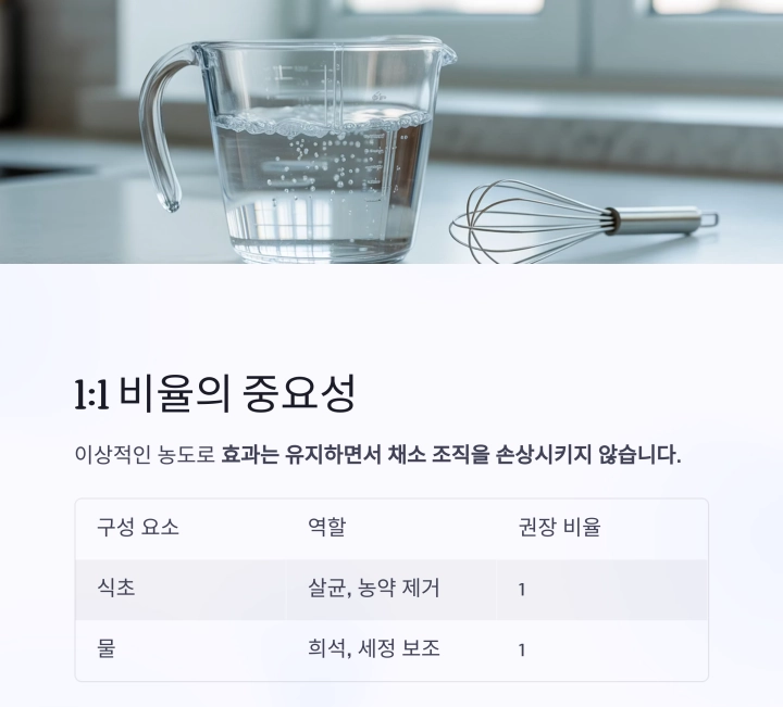 식초와 물 1:1 혼합으로 채소를 세척하는 과학적 이유와 올바른 방법