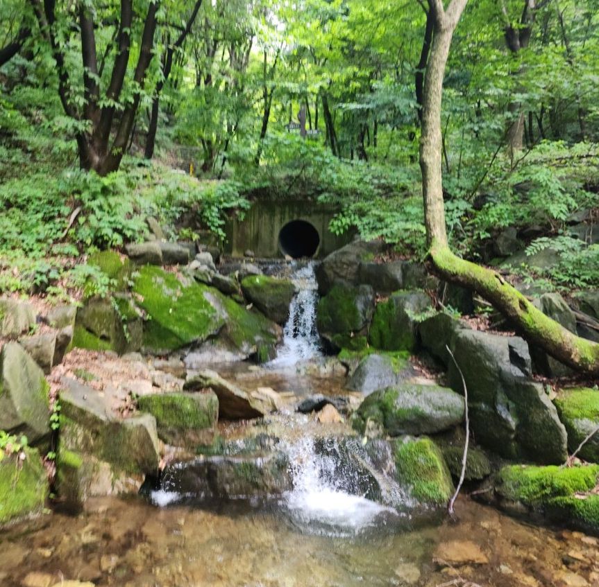 강당골계곡