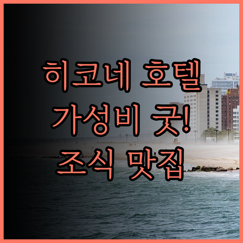 AB Hotel Hikone.. 가성