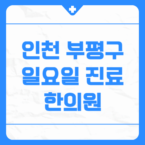 인천 부평구 일요일 진료 한의원