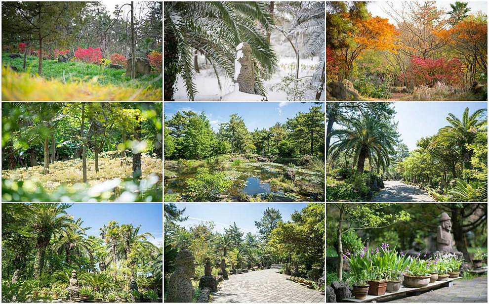 제주 한림공원 수국축제