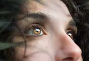 루테인 지아잔틴 아스타잔틴 부작용 효능 복용시간