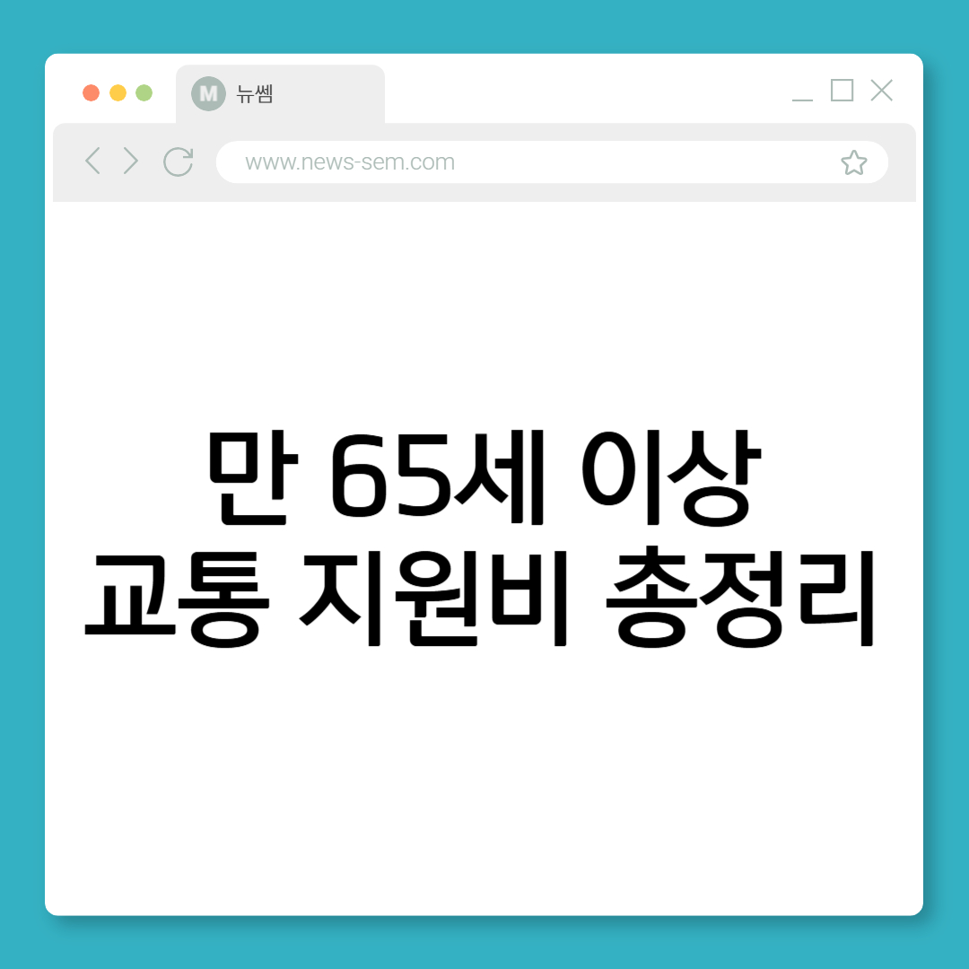 노인 교통 지원비 혜택