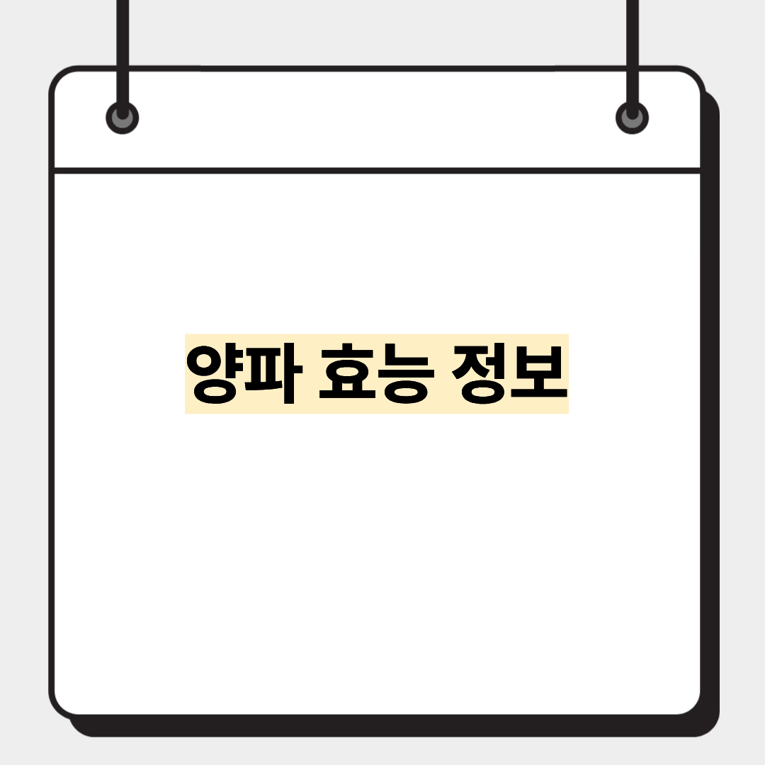 양파 효능 정보