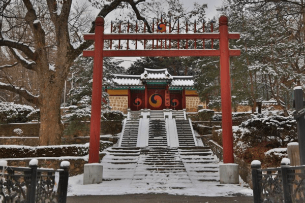 과천 반려견 겨울 나들이 명소, 강아지와 함께 걷기 좋은 산책 코스