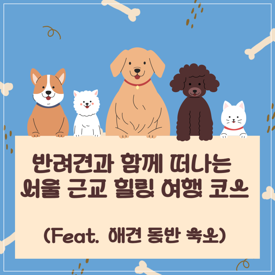 반려견과 함께 떠나는 서울 근교 힐링 여행 코스 추천 썸네일