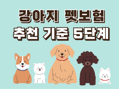 강아지 펫보험 추천 기준 5단계: 슬개골·피부·치과 보장 제대로 고르는 법