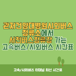 관저건양대병원시외버스정류소에서 서천버스정류장 가는 시외버스 시간표 최신정보