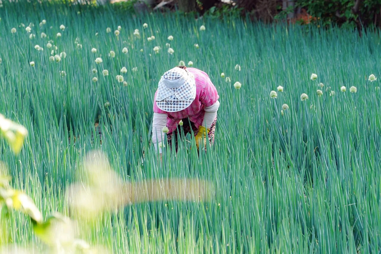 6시내고향 바로가기 다시보기