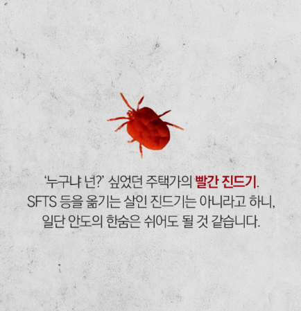 빨간 진드기 다카라다니 물림 아이 강아지 고양이 물리면 치료 예방 퇴치 방법 총정리