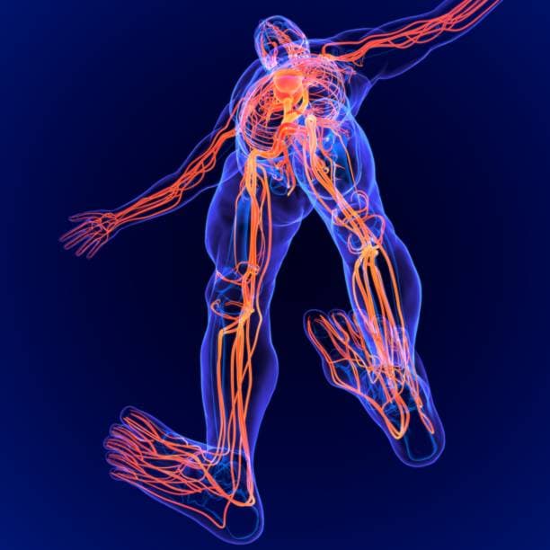 추운 날씨에 손맛이 사라지는 과학적 원인