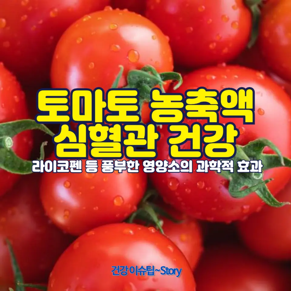 토마토 농축액, 하루 한 스푼으로 건강