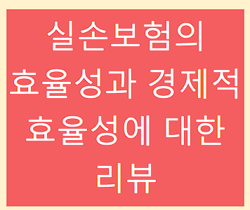 실손보험의 효율성과 경제적 효율성