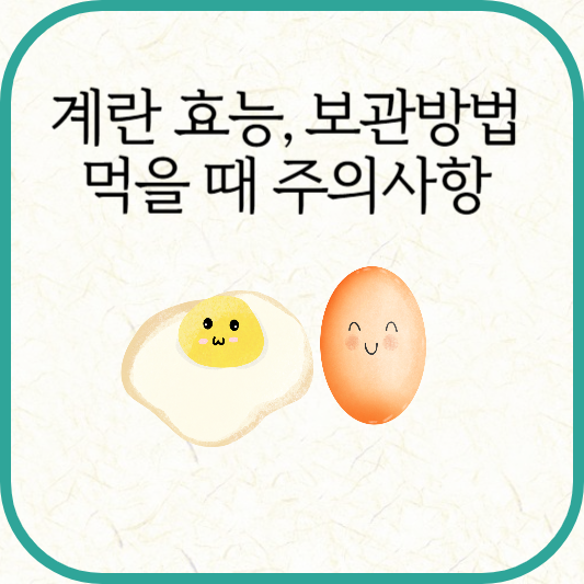 계란 효능, 계란 섭취 시 주의사항, 보관방법
