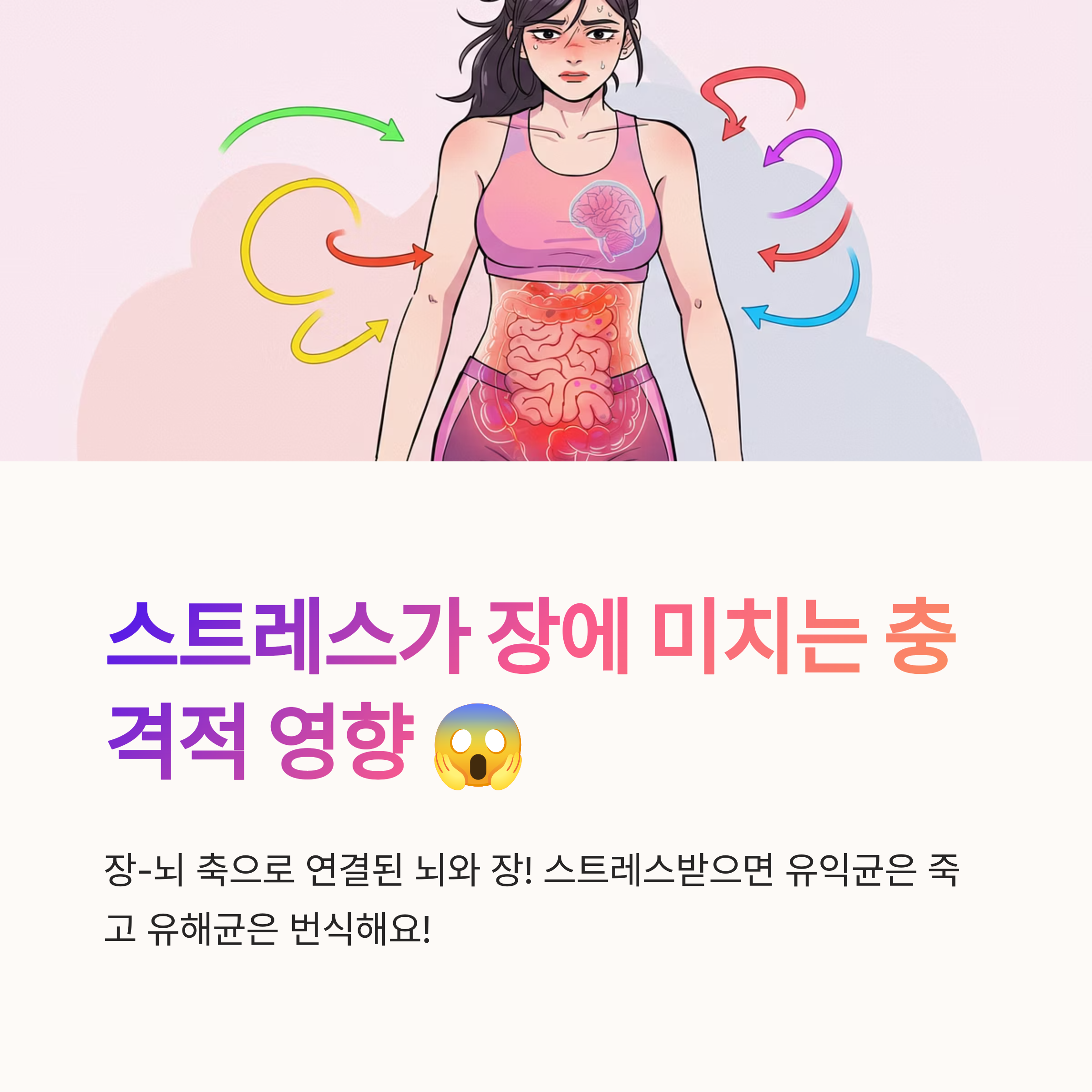 스트레스와 수면, 장 건강의 숨은 변수