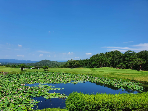 남여주CC 가격, 회원권, 예약 하기