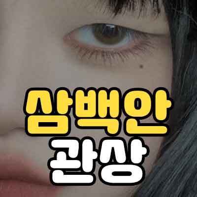 삼백안 관상
