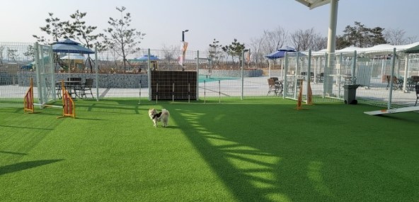 의성 펫월드