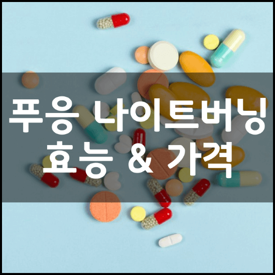 푸응-나이트버닝-다이어트-효능-가격