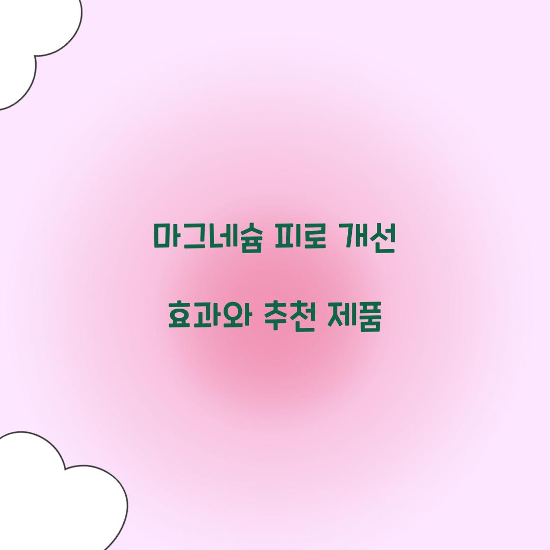 마그네슘 피로 개선