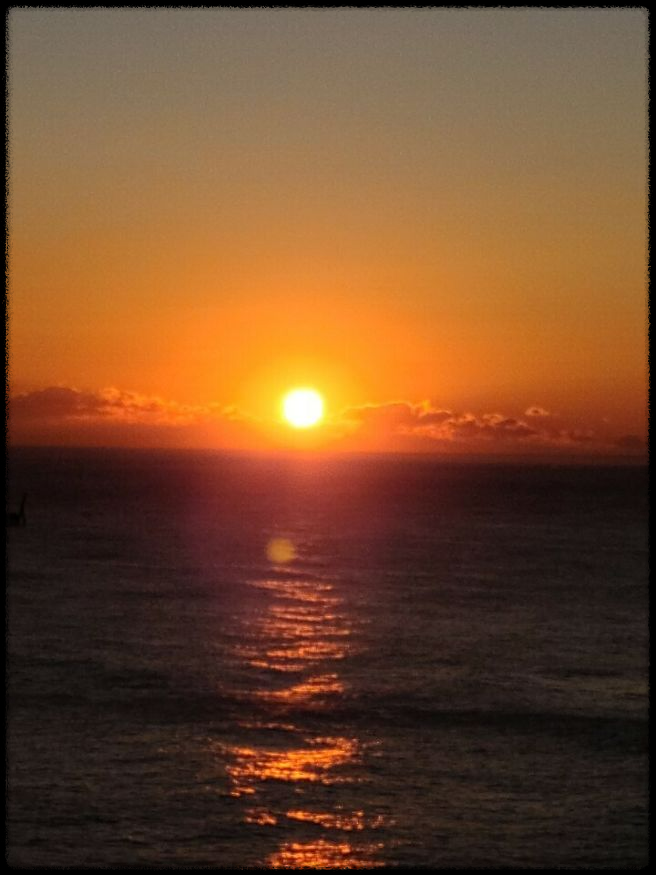 2025 을사년 뱀의 해 새해 인사말 모음