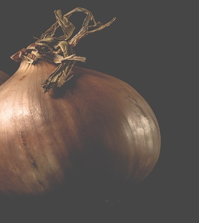 양파 효능 사진42