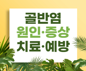 골반염 원인 증상 치료 예방