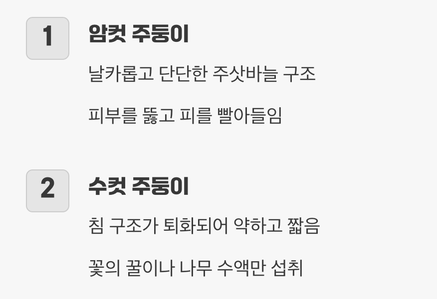 주둥이의 비밀&amp;#44; 무기가 다르다