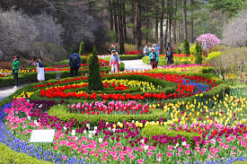 아침고요수목원 봄꽃 페스타