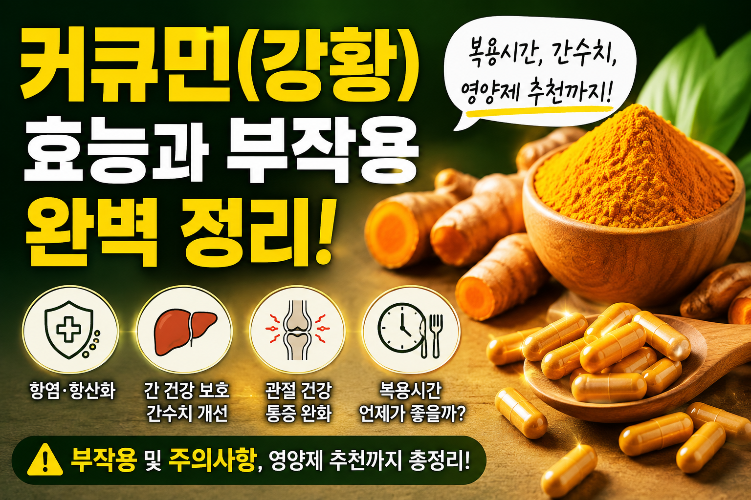 커큐민의 완벽정리