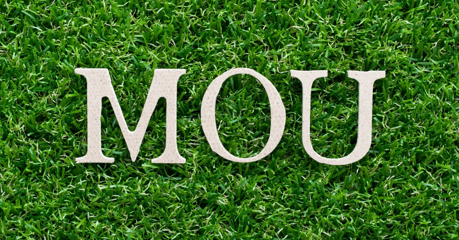 MOU란