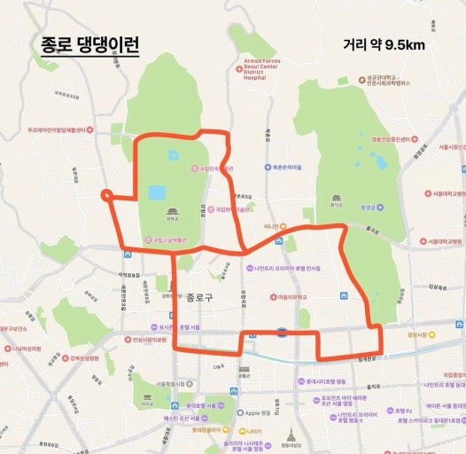 &ldquo;댕댕런 코스&rdquo; &ndash; 서울 도심을 강아지로 달리다
