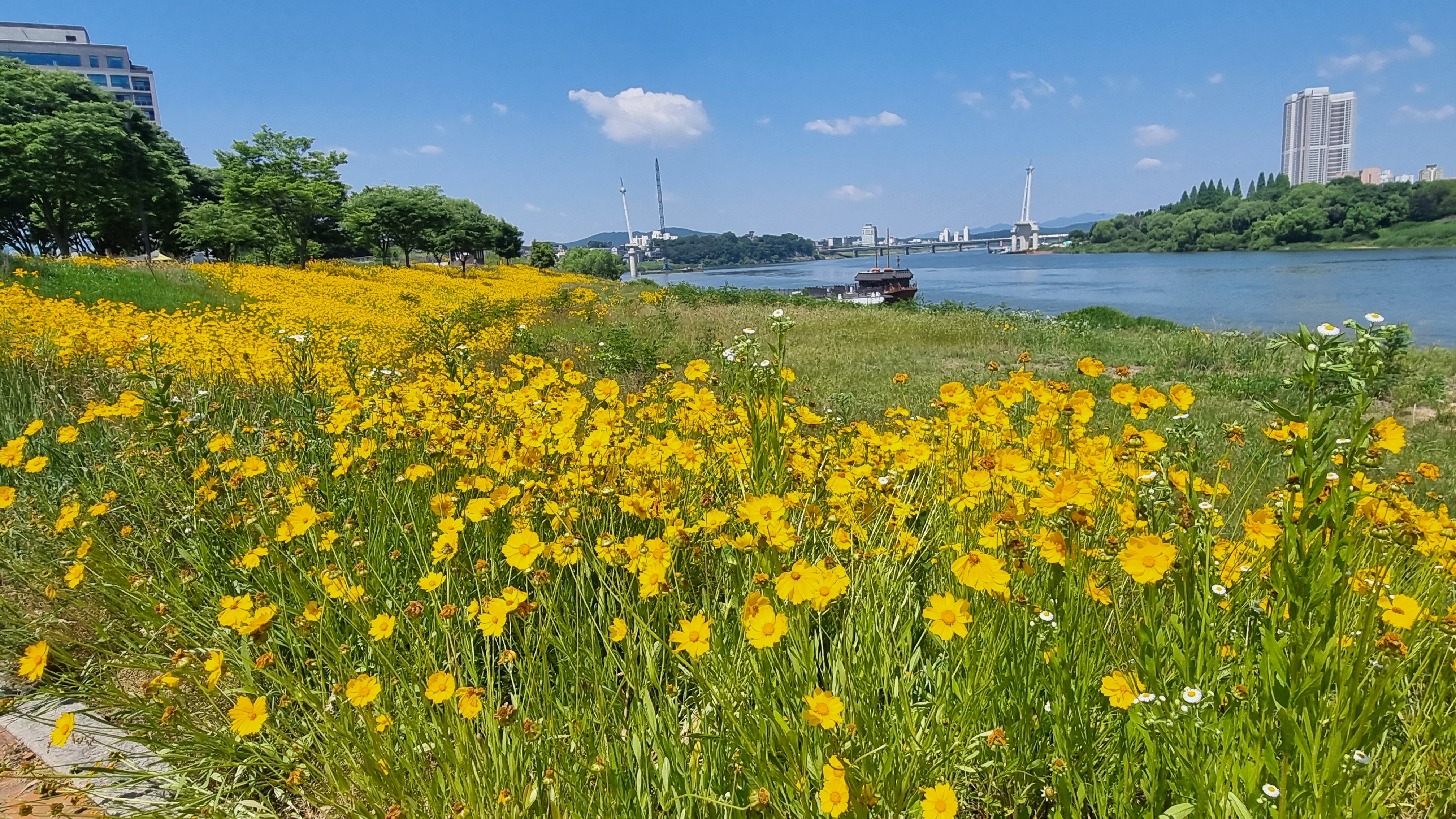 여주 금은모래캠핑장