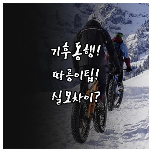 기후동행카드 따릉이 포함권 실물카드와..