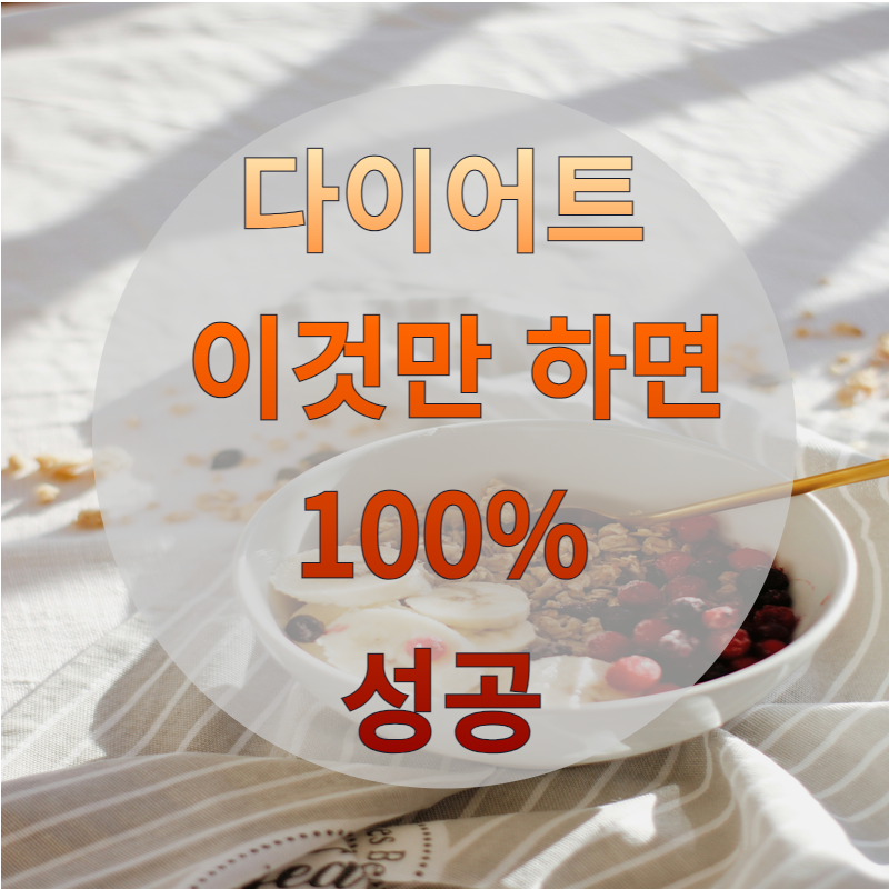 다이어트 성공비결