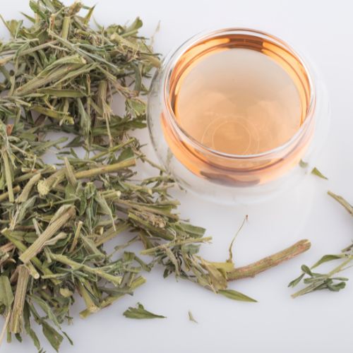 8체질 자가진단 테스트로 알아보는 나의 체질