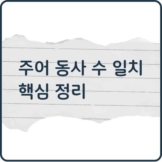 영어 문법 기초: 주어와 동사의 수 일치 핵심 정리