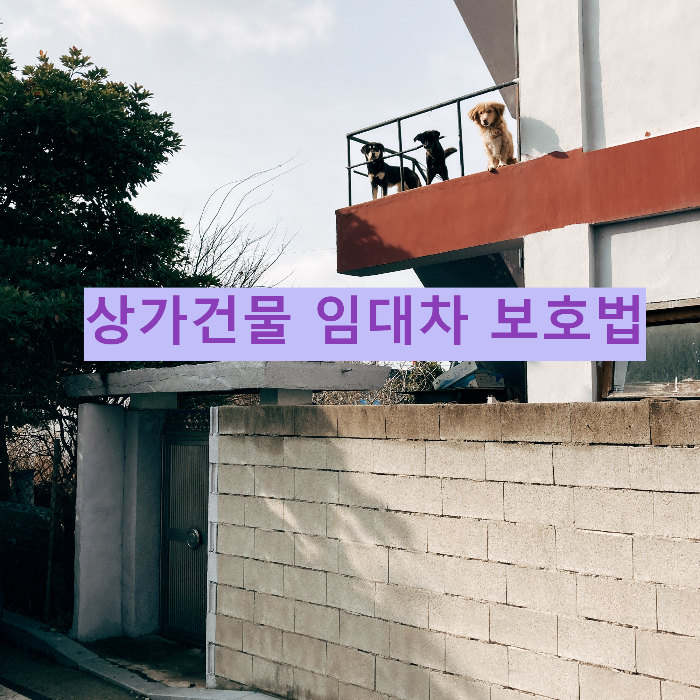 상가건물 임대차 보호법
