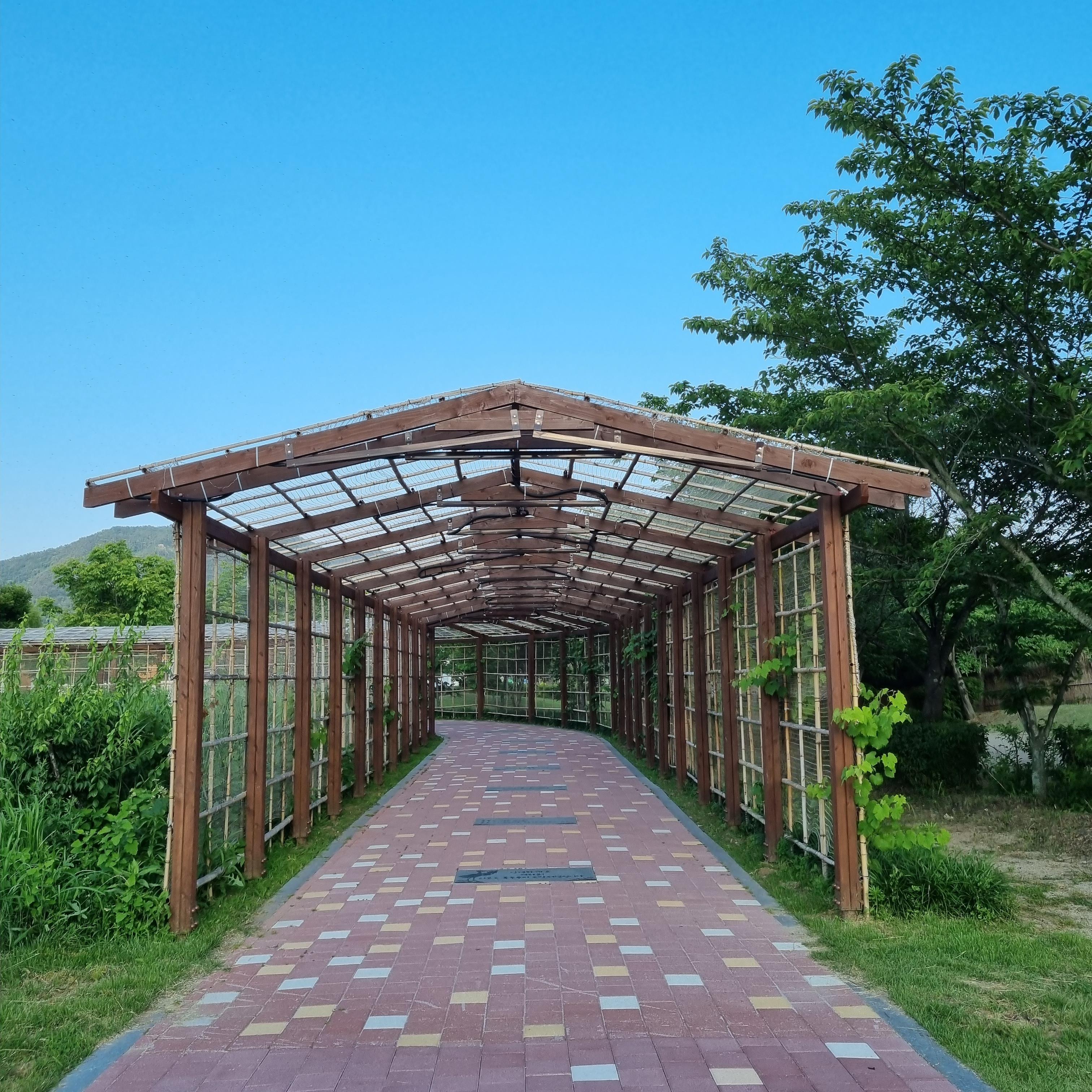 순천만습지 흑두루미 소망터널