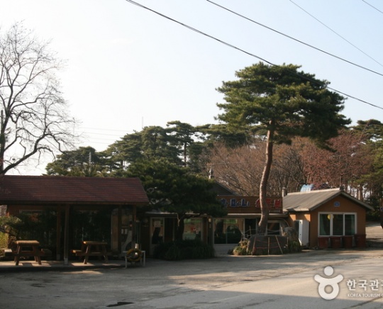강릉 순두부 맛집, 초당할머니순두부