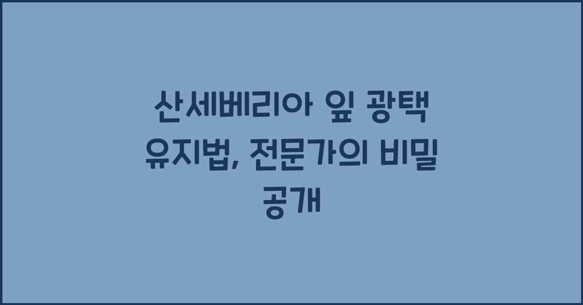 산세베리아 잎 광택 유지법