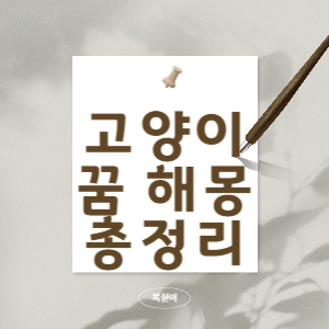 고양이-꿈-해몽-총정리