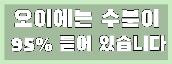  오이에는 수분이 95% 들어 있습니다