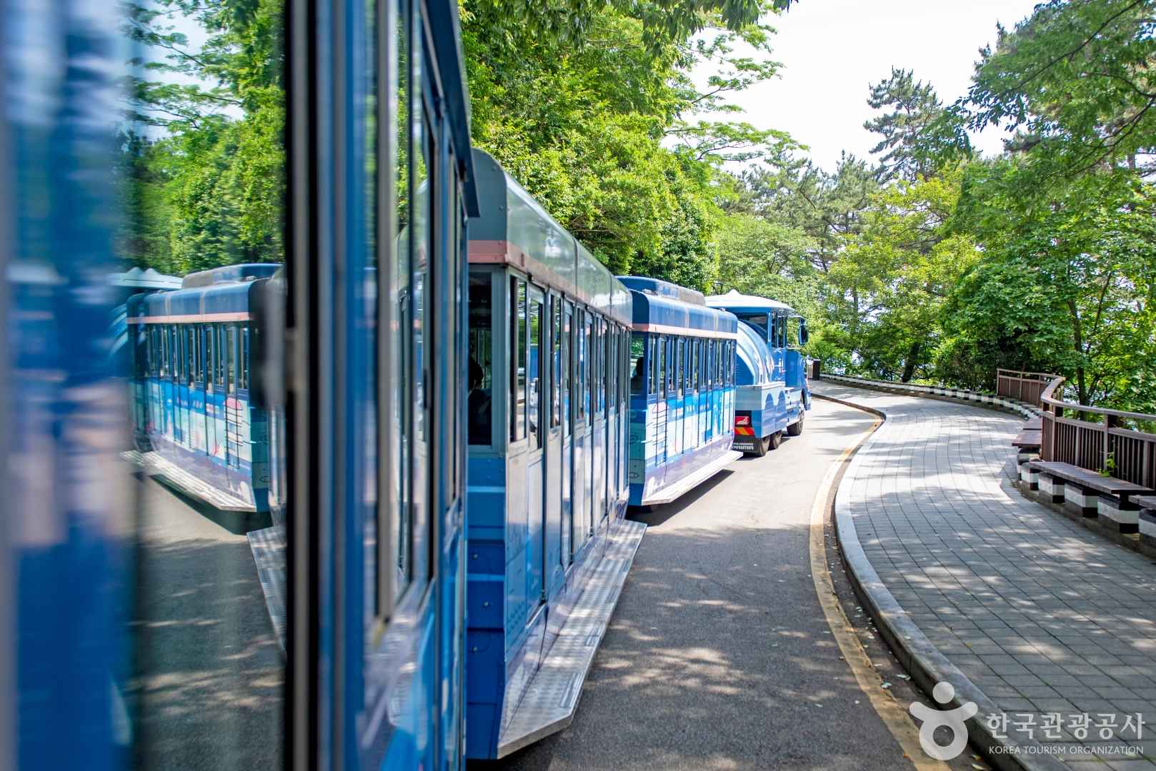 부산 태종대 다누비열차