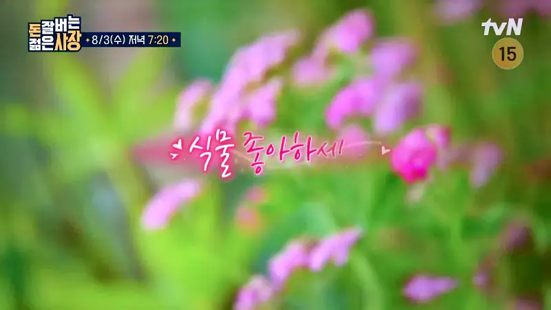 돈 잘버는 젊은사장 식물 인테리어로 부자가 되다 '억' 소리 나는 플랜테리어 조경설계 실내조경 식집사 서장훈 주우재 추천 소개