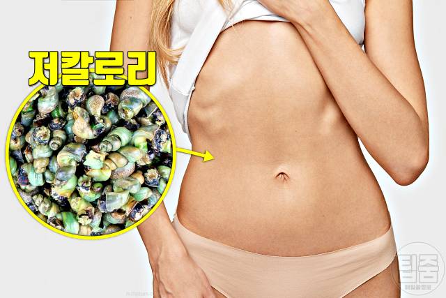 다슬기 효능 부작용 다이어트