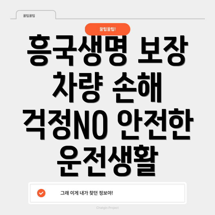 흥국생명 자동차 보험